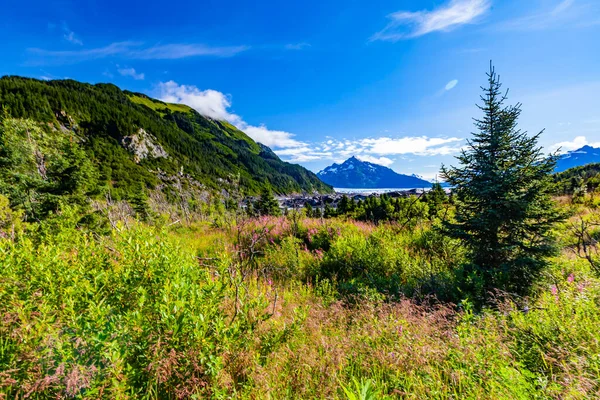 Stany Zjednoczone Alaska Nabrzeże Kamieni Jezioro Stare Nabrzeże — Zdjęcie stockowe