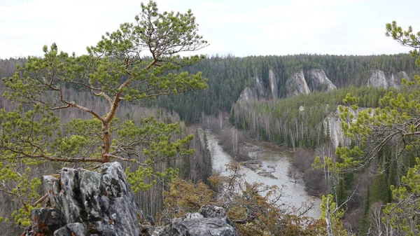 Rosja Urals Obwód Swierdłowski Natura Opuszczony Stary Kamieniołom Rzeka Sapsap — Zdjęcie stockowe