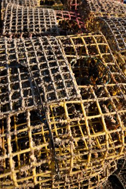 Balıkçılık limanında renkli balık ağları