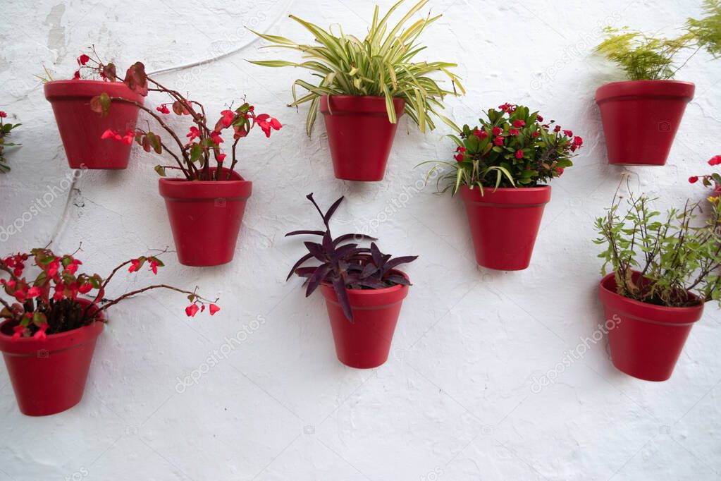 red vases of flowers on a white wall