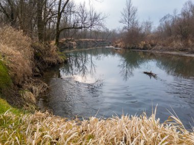 Nehir boyunca uzanan toprak erozyonu. Nehir kenarında kasvetli bir gün, kurumuş çalılar ve dallardan oluşan ağaçlarla kaplanmış bankalar. Karsız soğuk bir kış günü.