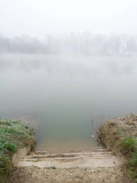 河流对岸的神秘森林 笼罩在薄雾中 秋天宁静的风景在寒冷的清晨 在通往河边的楼梯上 — 图库照片