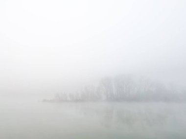 Sabahın erken saatlerinde sisli, yaprak döken bir korulukla gizemli nehir adasının huzurlu sonbahar manzarası. Sakin ve sessiz doğa sahnesi kalın sisle kaplıydı..