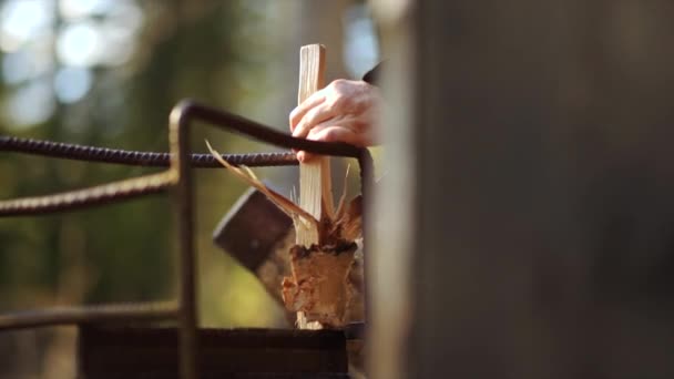 Man Cutting Wood Forest — Stock Video