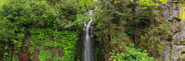 Панорама Тривалий Час Заливала Воду Крихітному Водоспаді Оточеному Саджанцями Деревами — стокове фото