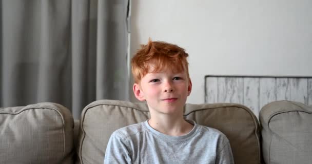 Niño Pequeño Pelo Rojo Sonriendo Feliz Sentado Sofá Sala Estar — Vídeos de Stock