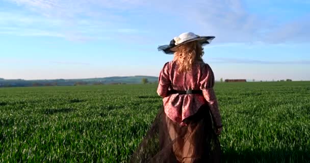 エレガントな女性は 農場の上品な緑の小麦畑で大きな帽子と古い流行の歴史的な衣装で歩く — ストック動画