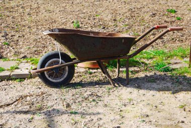 Kendi meyve ve sebzeni kendin yetiştir.  