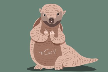 Armadillo Pi veya Pangolin, 2019 sayılı Coranavirus gribi taşıyıcısı olmalarına şaşırdılar.