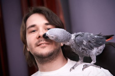 Omzunda koyu sakallı genç bir adam bir Jaco papağanı oturuyor. Omzunda Jacquot papağanı olan beyaz tişörtlü bir adam. Papağanlı neşeli bir genç adam.