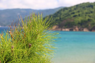 Ege Denizi, Yunanistan adaları manzarası