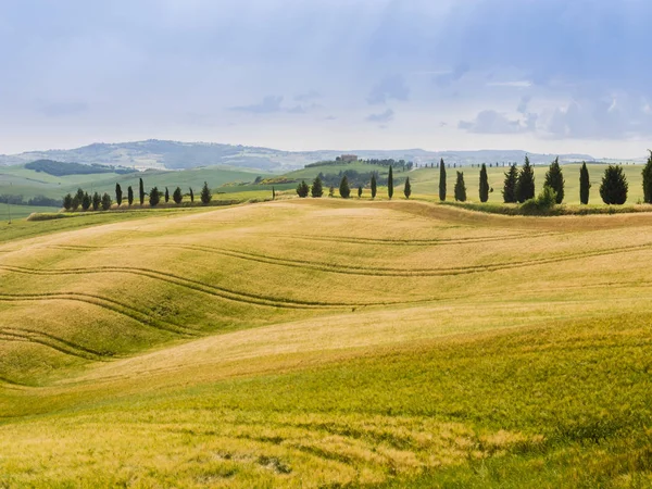 Landschappen in de Toscaanse heuvels — Stockfoto