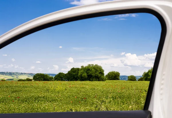 Campo a través de una ventana del coche —  Fotos de Stock