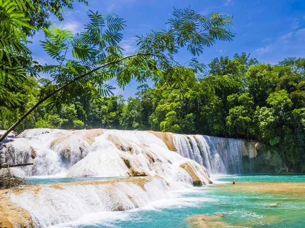 Agua Azul şelaleler Chiapas, Meksika'nın yağmur ormanlarında