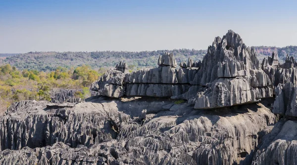 Tsingy de Bemaraha Ulusal Parkı, Madagaskar 'da etkileyici karst kireçtaşı oluşumları