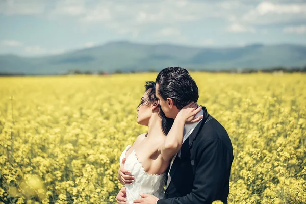 Casal de casamento no campo flores amarelas — Fotografia de Stock