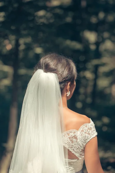 Mooie bruid kapsel in sluier — Stockfoto