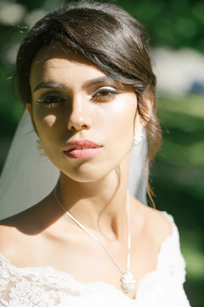 Hermosa novia con peinado elegante — Foto de Stock