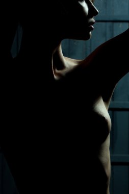 Çıplak kız siluet
