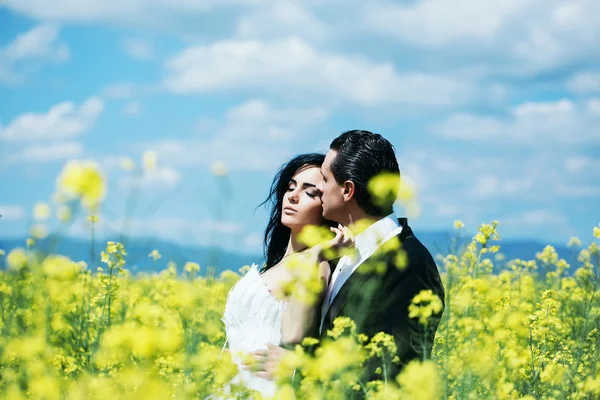 Bruidspaar in veld gele bloemen — Stockfoto