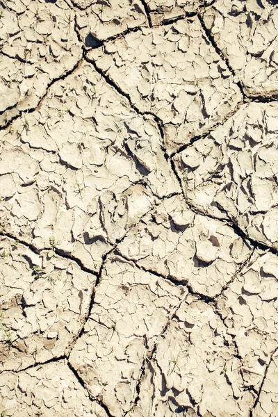 Dry soil with cracked surface — Stock Photo, Image