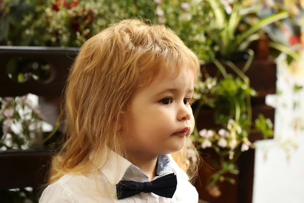 Little boy with bow tie — Stock Photo, Image