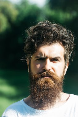yakışıklı sakallı adam güneşli açık