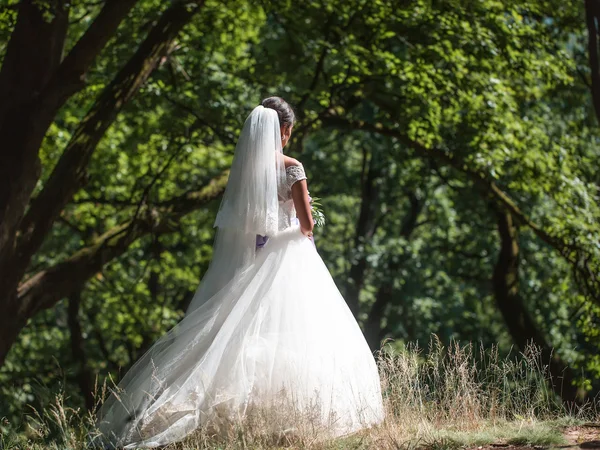 Красивая невеста в длинном платье — стоковое фото