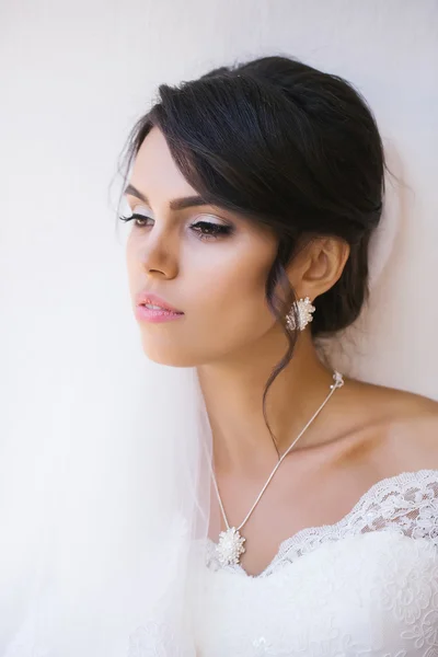 エレガントなヘアスタイルと美しい花嫁 — ストック写真