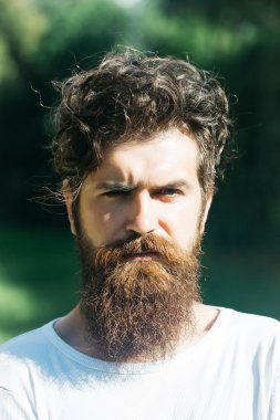 yakışıklı sakallı adam güneşli açık