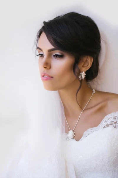 エレガントなヘアスタイルと美しい花嫁 — ストック写真