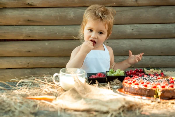 Söt liten pojke äter bär — Stockfoto