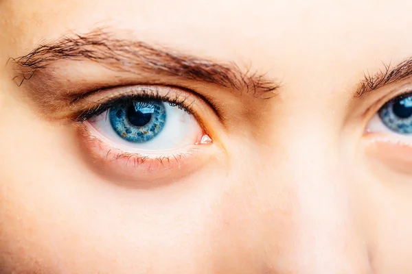 Blauwe ogen en wenkbrauwen — Stockfoto