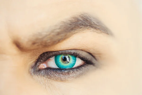 Occhio verde maschile — Foto Stock