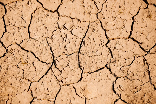 Suelo seco con superficie agrietada — Foto de Stock