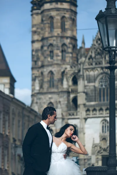 Wedding sexy couple near caste on palace outdoor — Stock Photo, Image