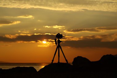 fotoğraf makinesi tripod üzerinde