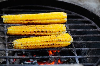 Tatlı mısır koçanı ızgara