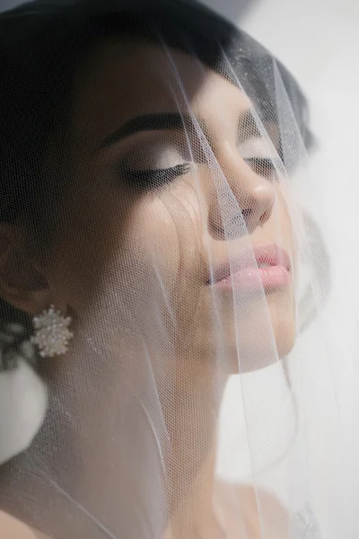 Beautiful bride under veil — Stock Photo, Image