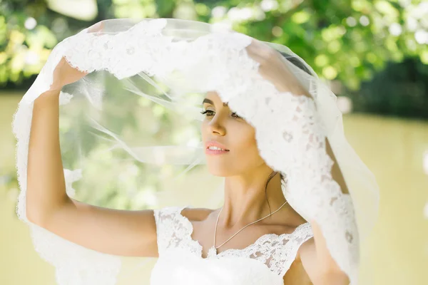 Симпатичная невеста под вуалью — стоковое фото