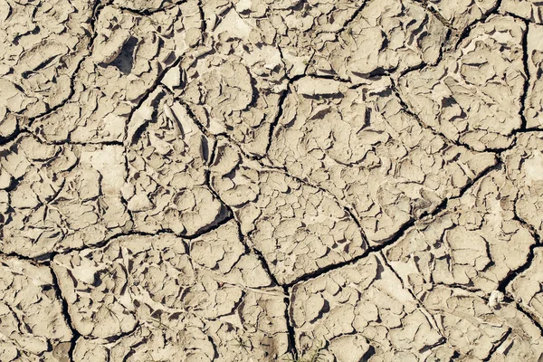 Dry soil with cracked surface — Stock Photo, Image