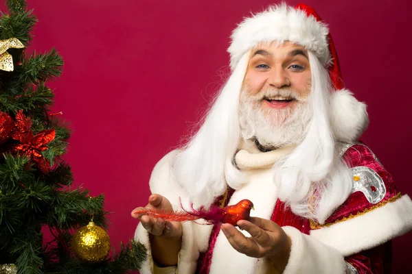Happy santa decorates Christmas tree — Stock Photo, Image