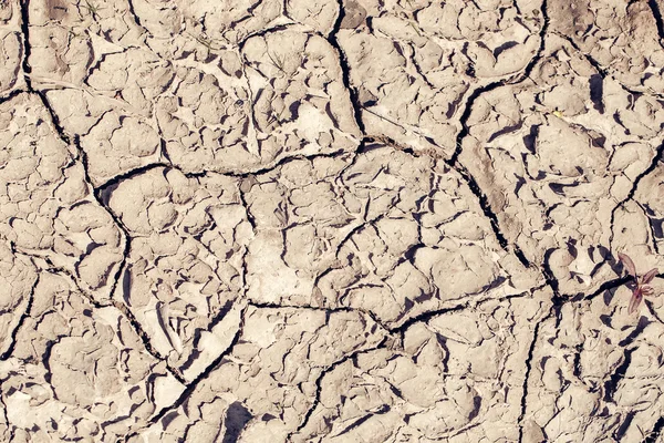 ひびの入った表面乾燥土壌 — ストック写真