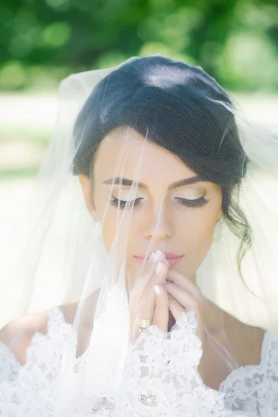 Pretty bride under veil — Stock Photo, Image