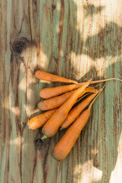 Raccolta di mazzo di carote — Foto Stock