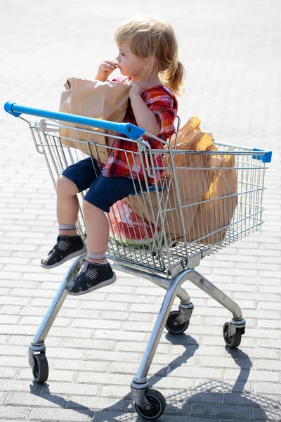 Lindo chico en carrito de compras —  Fotos de Stock