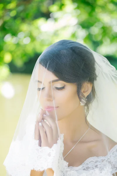 Bonita novia bajo el velo — Foto de Stock