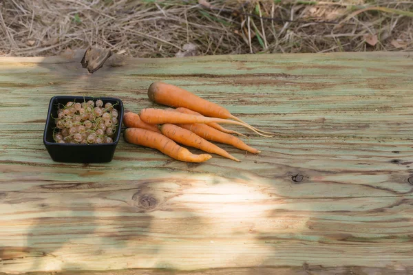 Oogsten bos wortelen en krenten — Stockfoto