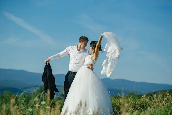 groom and bride summer field