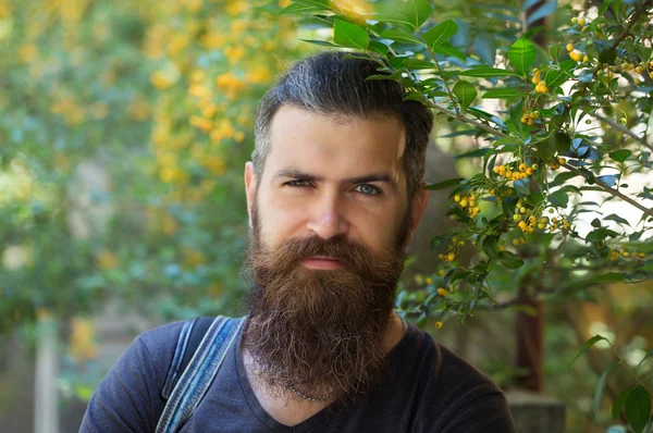 Młody mężczyzna hipster z brodą — Zdjęcie stockowe